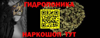 крисы Татарск